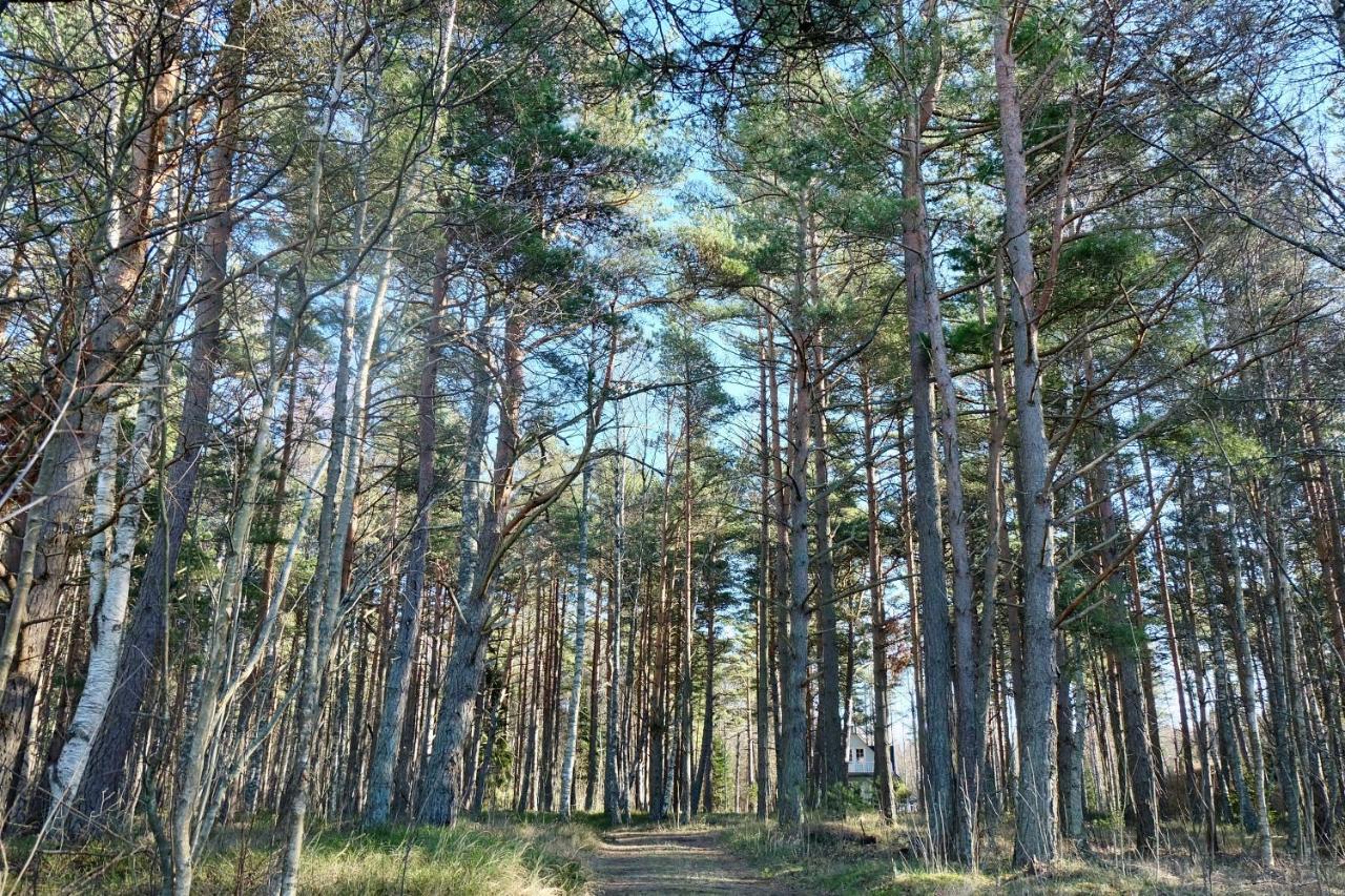 Tahkuna Puhkekeskus Hiiumaa エクステリア 写真