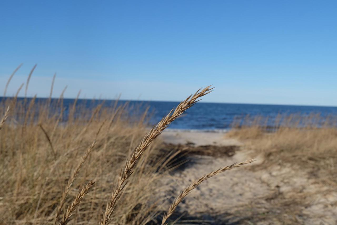 Tahkuna Puhkekeskus Hiiumaa エクステリア 写真