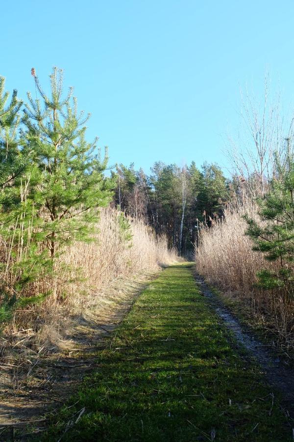 Tahkuna Puhkekeskus Hiiumaa エクステリア 写真